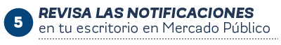 t5-revisa t5-revisa