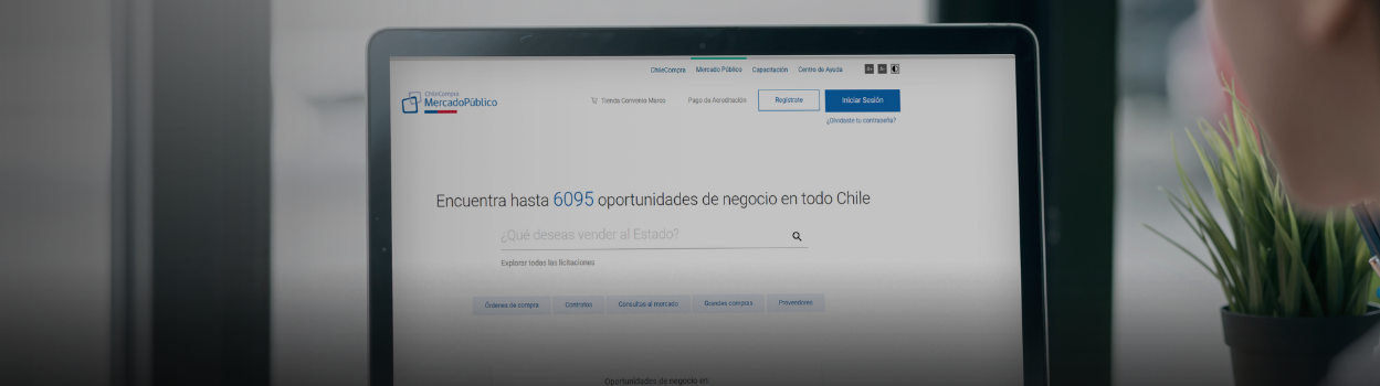 Montos transados en la plataforma Mercado Público superaron los US$ 17.643 millones en 2024 